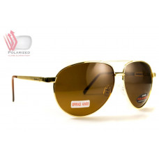 Окуляри BluWater AirForce Gold Polarized (brown)