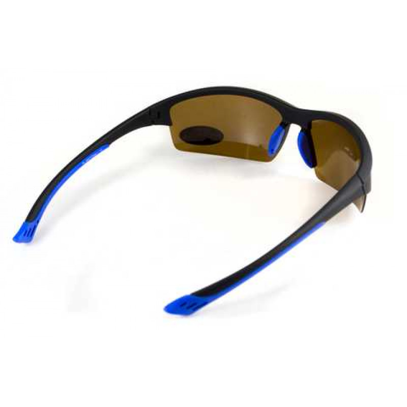 Окуляри поляризаційні BluWater Daytona-1 Polarized (brown)