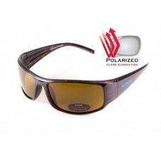 Окуляри поляризаційні BluWater Florida-1 Polarized (brown)