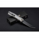 Ніж складаний туристичний Ruike P166-AК, (9.2 см) 14C28N / Aluminum