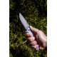 Ніж складаний туристичний Ruike P801-SF, (8.6 см) 14C28N / 3cr14n